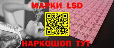 крисы Беслан