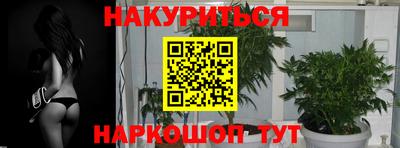 эйфоретик Апшеронск