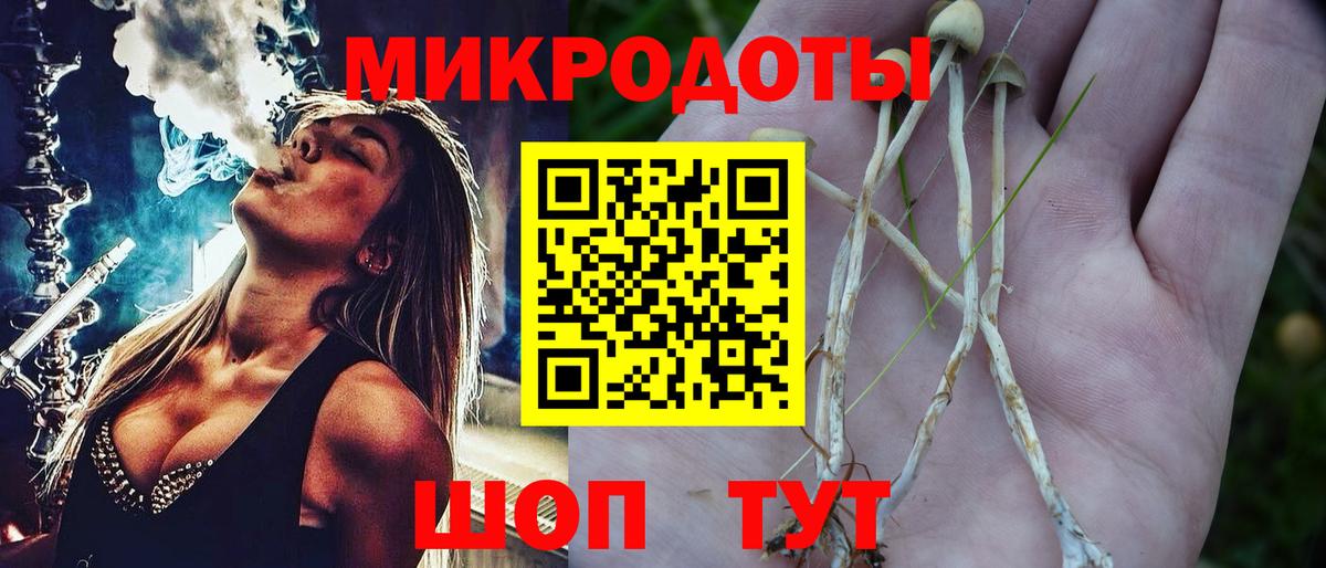 Псилоцибиновые грибы прущие грибы Берёзовский