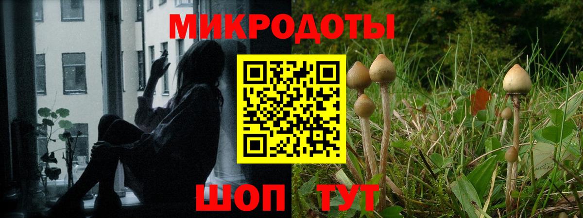 закладки  Псилоцибиновые грибы мицелий  Галлюциногенные грибы GOLDEN TEACHER  Вход с VPN  Берёзовский 